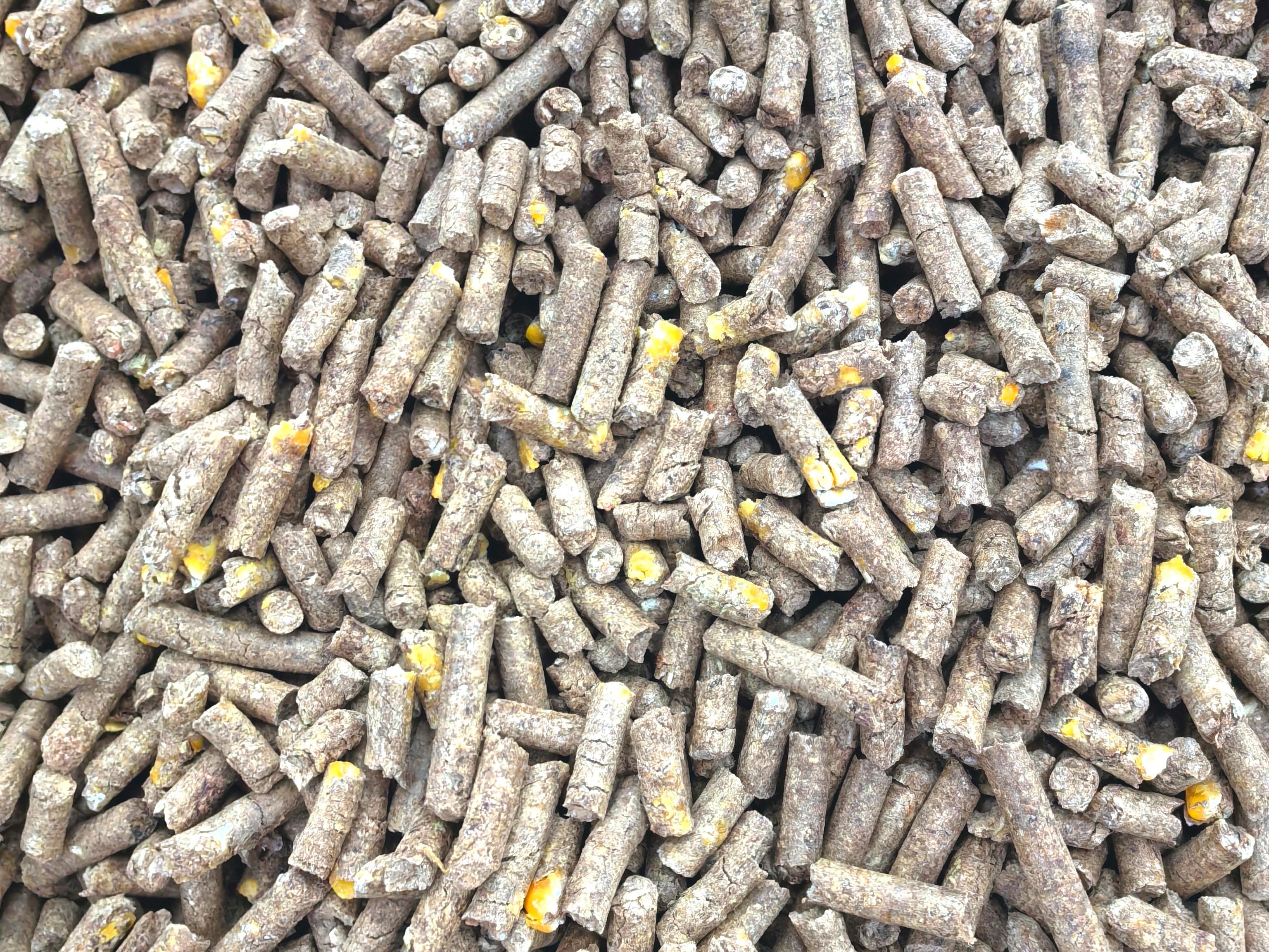 花生殼玉米飼料顆粒