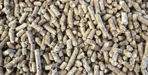 什么是生物質(zhì)新能源？