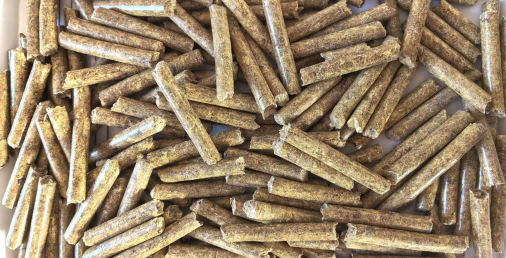 生物質(zhì)燃料到底是如何進(jìn)行燃燒的呢？